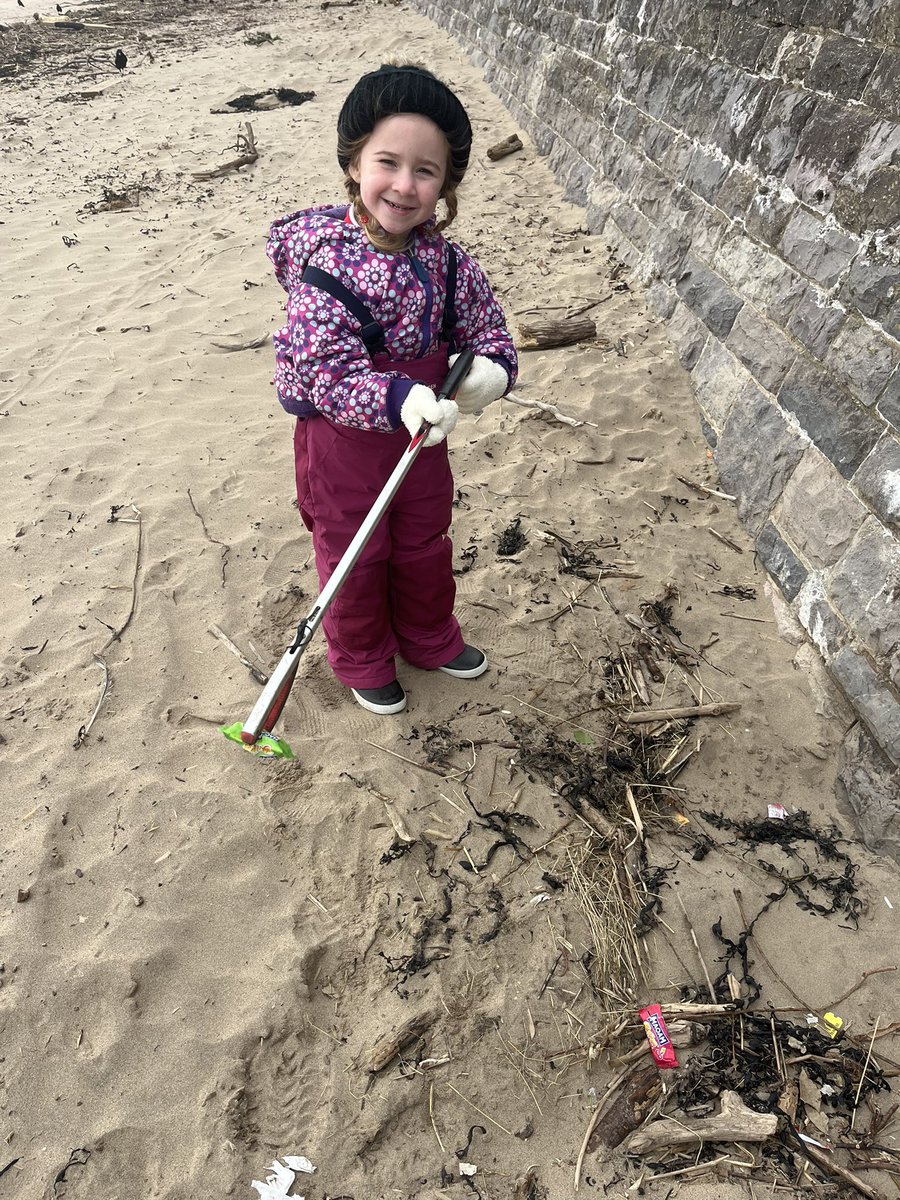 Seeder Wood tweet media