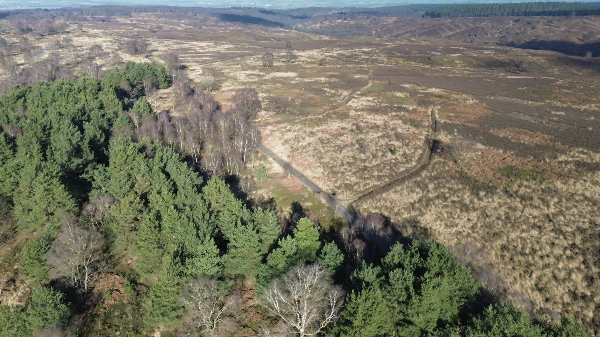 Tonydotlufc's tweet image. A couple of shots taken during a walk on The Chase yesterday with @carolinelufc