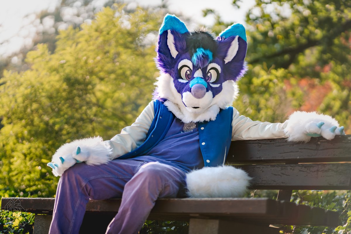 Happy #Fursuitfriday !

📷 <a href="/vlaaacek/">VlaceK</a> 
🧵 <a href="/AltaWoof/">Alta!! 🔜 Pawske, MFF</a> 
📍 #EF28