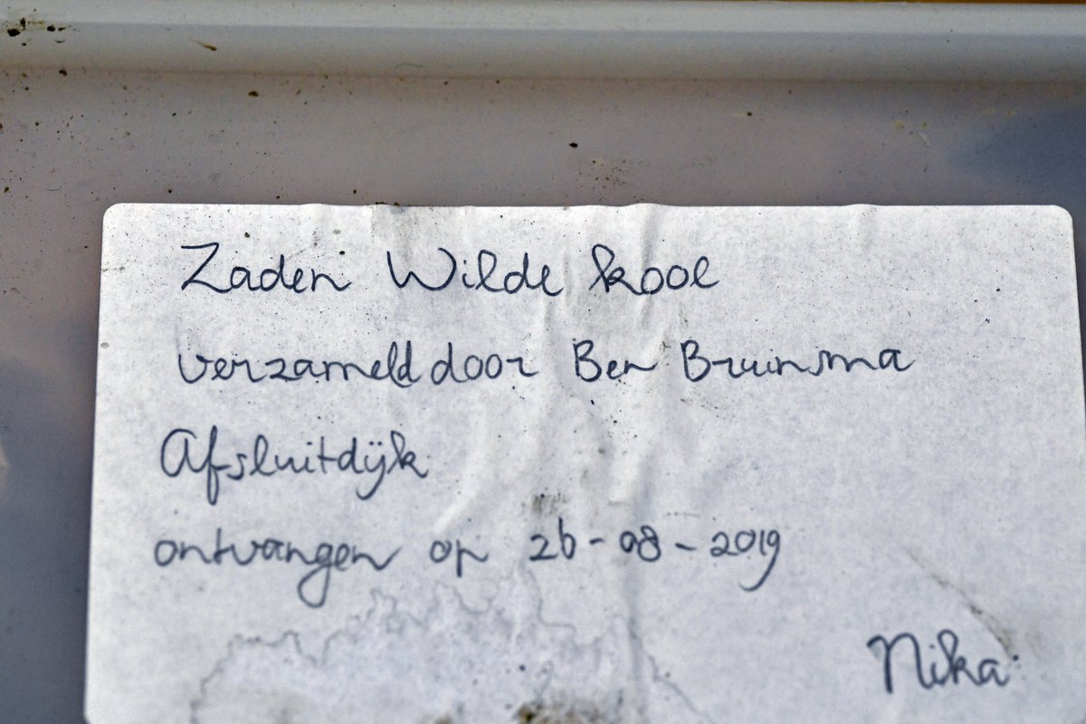 ...bloeit de zeekool weer op ‘Neerlands enige zeeklif’! 🌱
🎧 Beluister zijn verhaal hier👉 open.spotify.com/episode/1ffxyE…