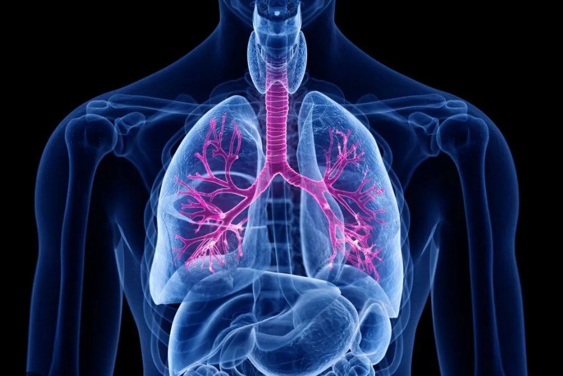 Warren English tweet media