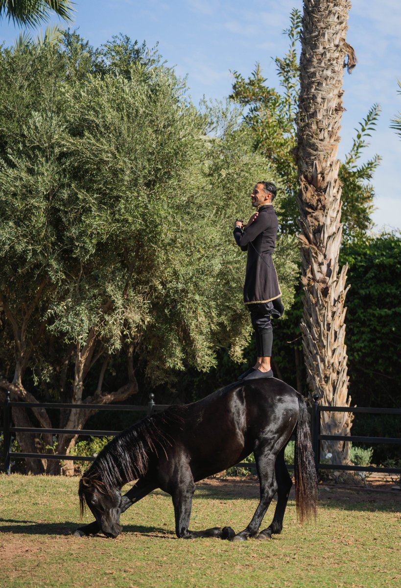Sadek is back home at Selman Marrakech, where the timeless bond between man and horse creates extraordinary moments of poetry and wonder. 

His shows offer guests a unique experience, where the art of horsemanship meets the magic of our hotel.

Join us!