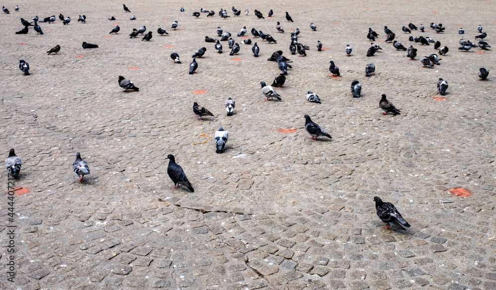De Dam in Amsterdam Holland-Photostock.nl #Amsterdam #Dam #Duiven