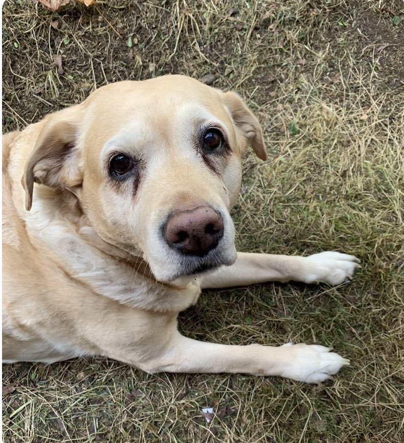 Sir Johnny OBE tweet media