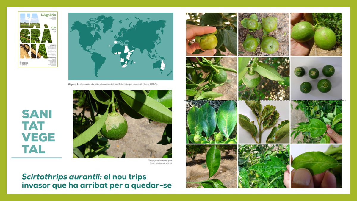 revista l'Agrària tweet media