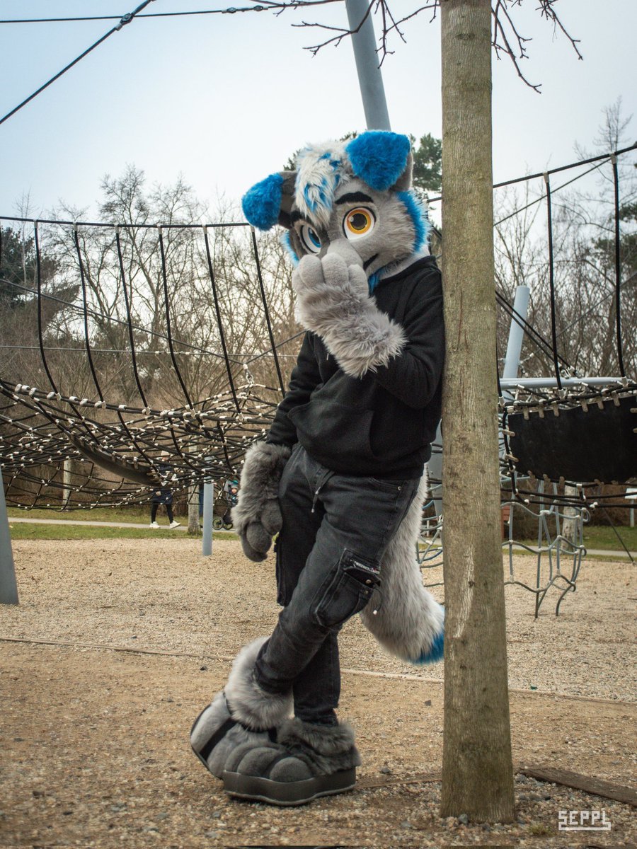 Happy #FursuitFriday  everyone
📸 <a href="/GepardSeppl/">Seppl</a>