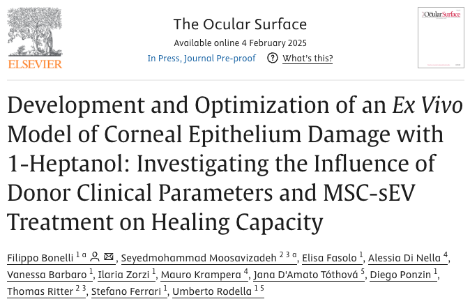 My first first-author PhD paper is out! Grateful for the collaboration between REMEDI &amp; Venice Eye Bank.

Our study highlights the therapeutic potential of MSC-EVs for corneal epithelial damage &amp; regenerative medicine.
Huge thanks to all co-authors.

shorturl.at/r2zkT