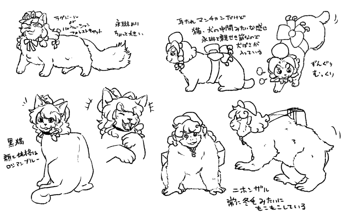 動物を描きなさーい! 