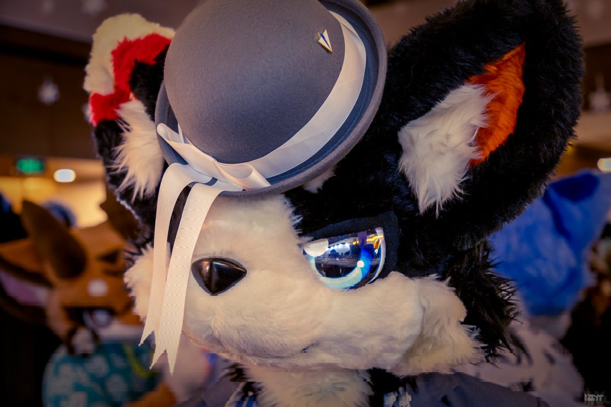 看似在认真倾听，实际已经在发呆了
#FursuitFriday