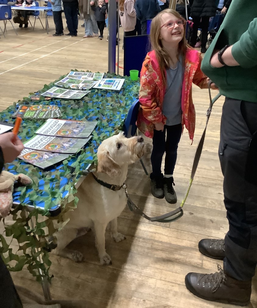 Simpson Primary tweet media