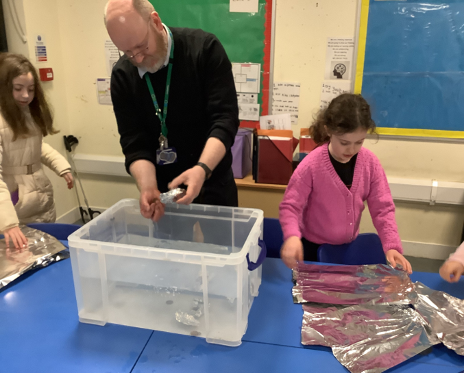 Simpson Primary tweet media