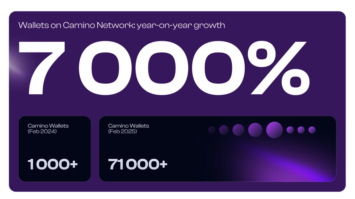 Camino Network 🟣 tweet media