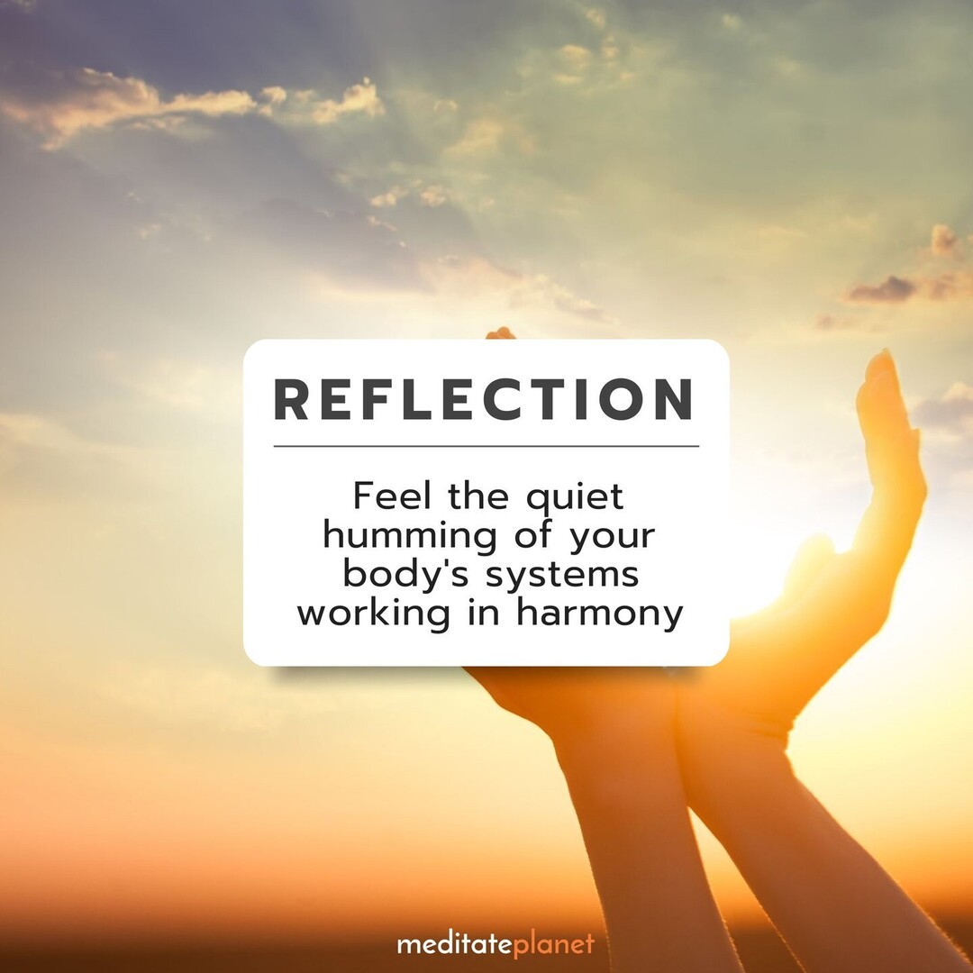 meditateplanet's tweet image. Feel the quiet humming of your body&apos;s systems working in harmony.

🔇🧬🧘‍♀️

#InnerHarmony #MindfulAwareness #ZenCalm