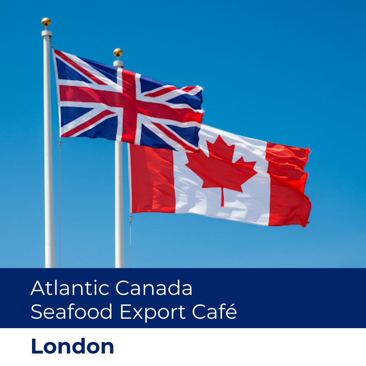 The #AtlanticCanadaSeafoodExportCafe arrives in London on Monday following stops in Rome &amp; Paris. The event will provide leading Canadian #seafood processors &amp; exporters with in-depth UK market insights plus 1:1 meetings with UK buyers.

#SeafoodFromCanada #CanadianSeafood