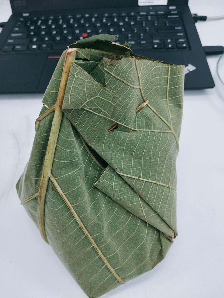 Au_rinjani's tweet image. Gue beli nasi berkat, dan dibungkus dg daun jati, trs ada yg komen gini:
"2025 tapi bungkus masih menggunakan daun jati"

Woy ini justru tanda mencintai lingkungan, jangan dikit-dikit plastik sekali pakai, plastik itu susah diurai, daun 3 hari sudah terurai ditanah.