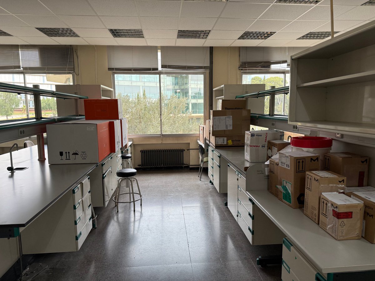 Laia Josa Culleré (@laiajc) on Twitter photo Our glassware, equipment, and reagents have started to arrive. Exciting times ahead as we unpack everything and set up the lab from scratch at <a href="/IQAC_CSIC/">Institute for Advanced Chemistry of Catalonia</a>! #medchem #newPI Our glassware, equipment, and reagents have started to arrive. Exciting times ahead as we unpack everything and set up the lab from scratch at <a href="/IQAC_CSIC/">Institute for Advanced Chemistry of Catalonia</a>! #medchem #newPI