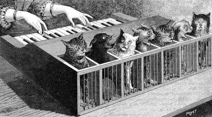 Cat piano.