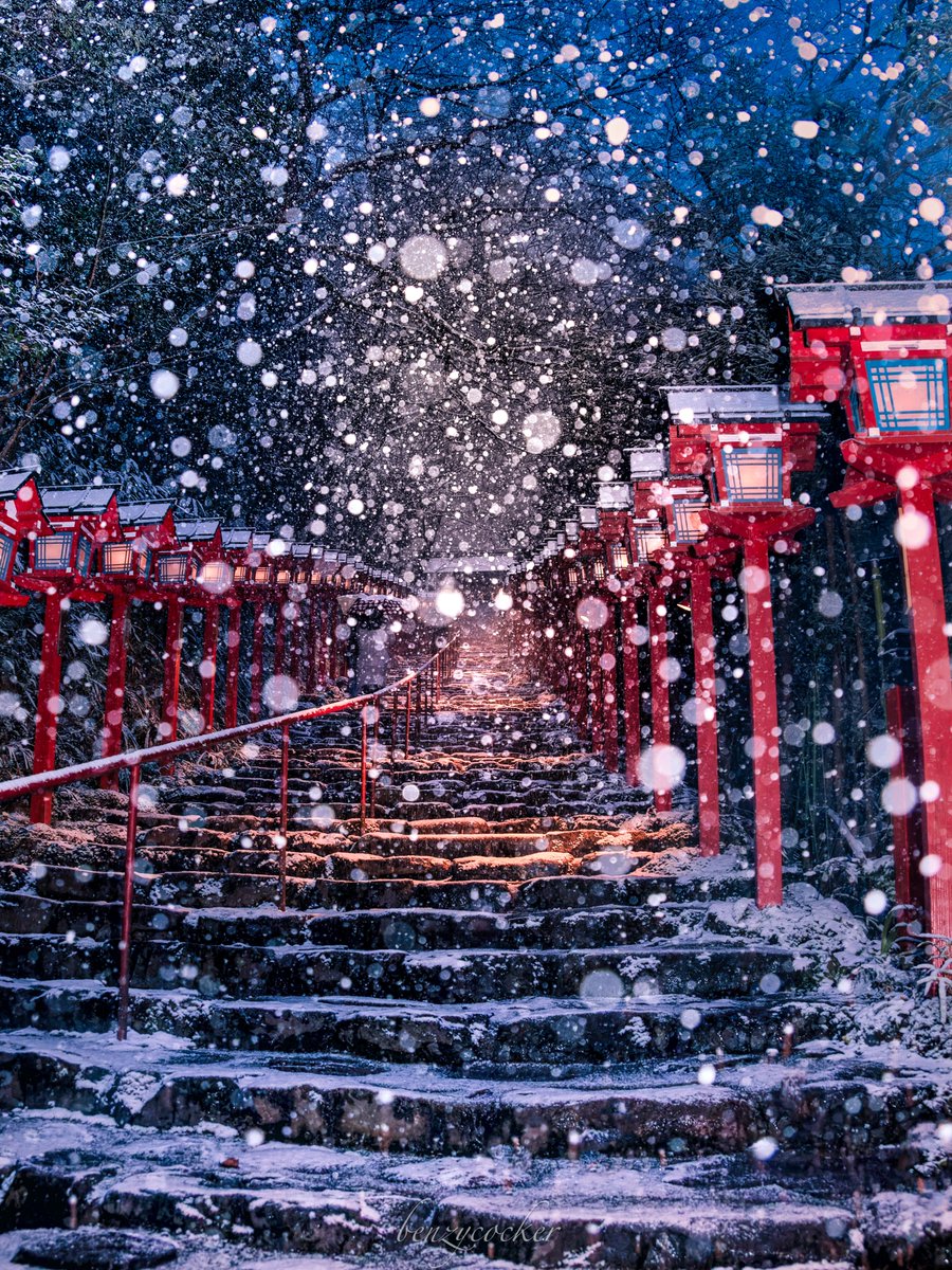 5℃の雪景色幻想的な貴船神社。