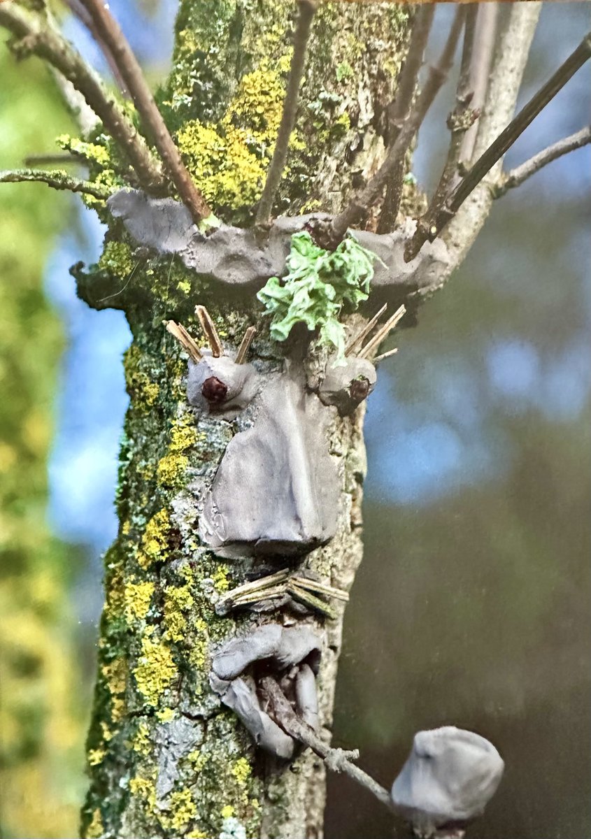 Kevin (@kevinearthcubs) on Twitter photo Love this book to inspire children and adults to see the humble stick as a fabulous imaginative way to engage with nature 💚🌍<a href="/NHM_London/">Natural History Museum</a> <a href="/NaturalEngland/">Natural England</a> <a href="/NatureUK/">NatureUK</a> #nature #education #play #imagination Love this book to inspire children and adults to see the humble stick as a fabulous imaginative way to engage with nature 💚🌍<a href="/NHM_London/">Natural History Museum</a> <a href="/NaturalEngland/">Natural England</a> <a href="/NatureUK/">NatureUK</a> #nature #education #play #imagination