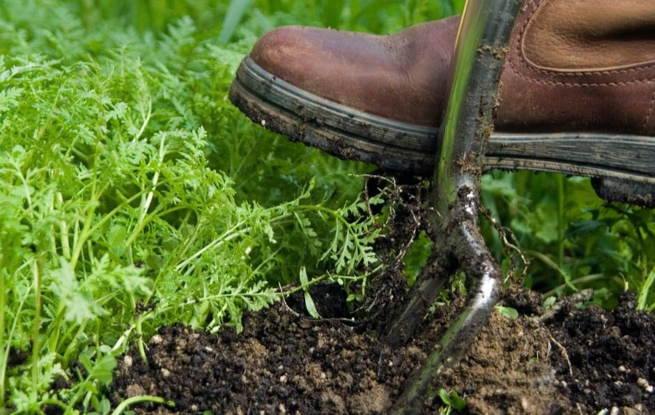 This Sunday, kickstart your gardening year with a workshop on how to improve soil sustainably. Everything you need to know about composting and mulching. 9 Feb, 10.30am-1pm. khwgarden.org.uk/event/sustaina…