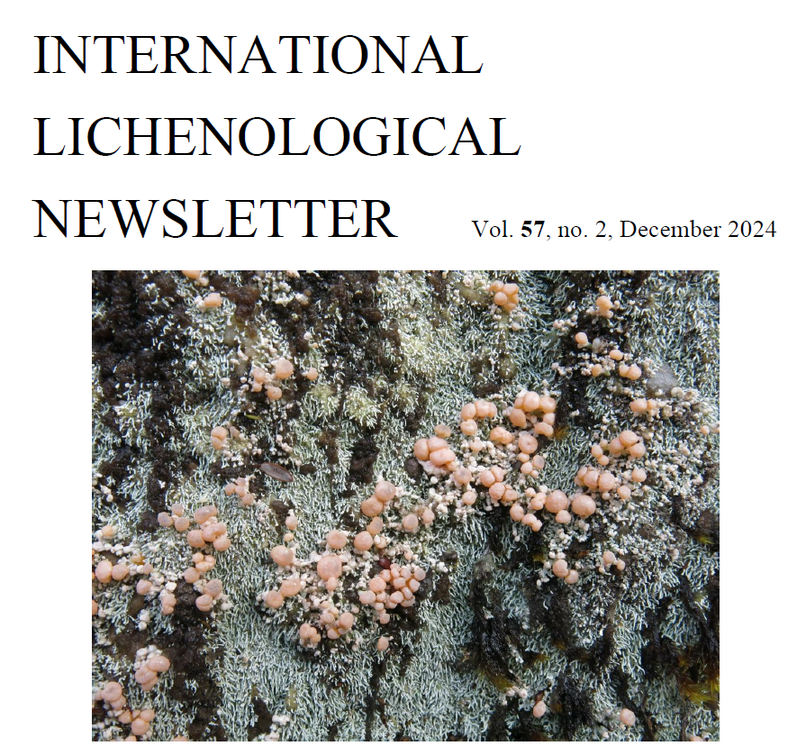 IAL_Lichenology's tweet photo. The latest issue of the International Lichenological newsletter is out! Take a look at everything that happened last year, including key events, community updates and future developments. Don't miss it!
https://t.co/tLqGeW2ggw
#lichens #LichenEvent #LichenNews https://t.co/ZqMfC4RW3R