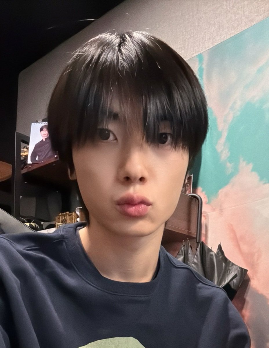 치즈고양이                                       검정고양이