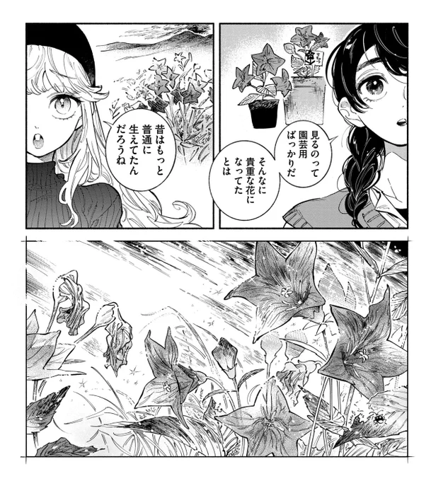 🌿野草まんが『ののはな語らず』更新されています!有名なわりにあまり自然では見かけない「キキョウ」のお話。園芸以外の楽しみ方も? 暖かくして、のんびりお読み頂ければ幸いです。春の訪れを信じて……☃️ 