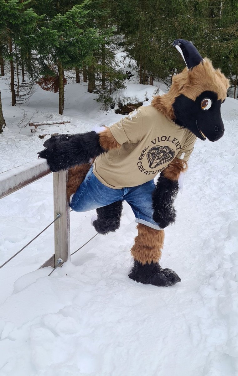 Videri  Water-Icedragon tweet media