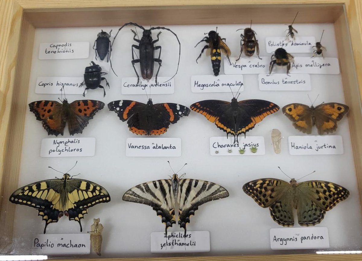 Éxito total de la Jornada de Entomología