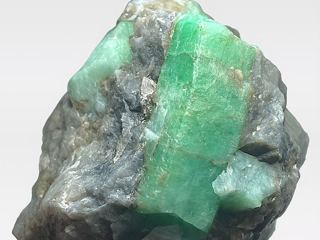 極美！モロッコjorf産の光沢が美しいCrotalocephalus 極美！モロッコjorf産の光沢が美しいCrotalocephalus 【公式通販】