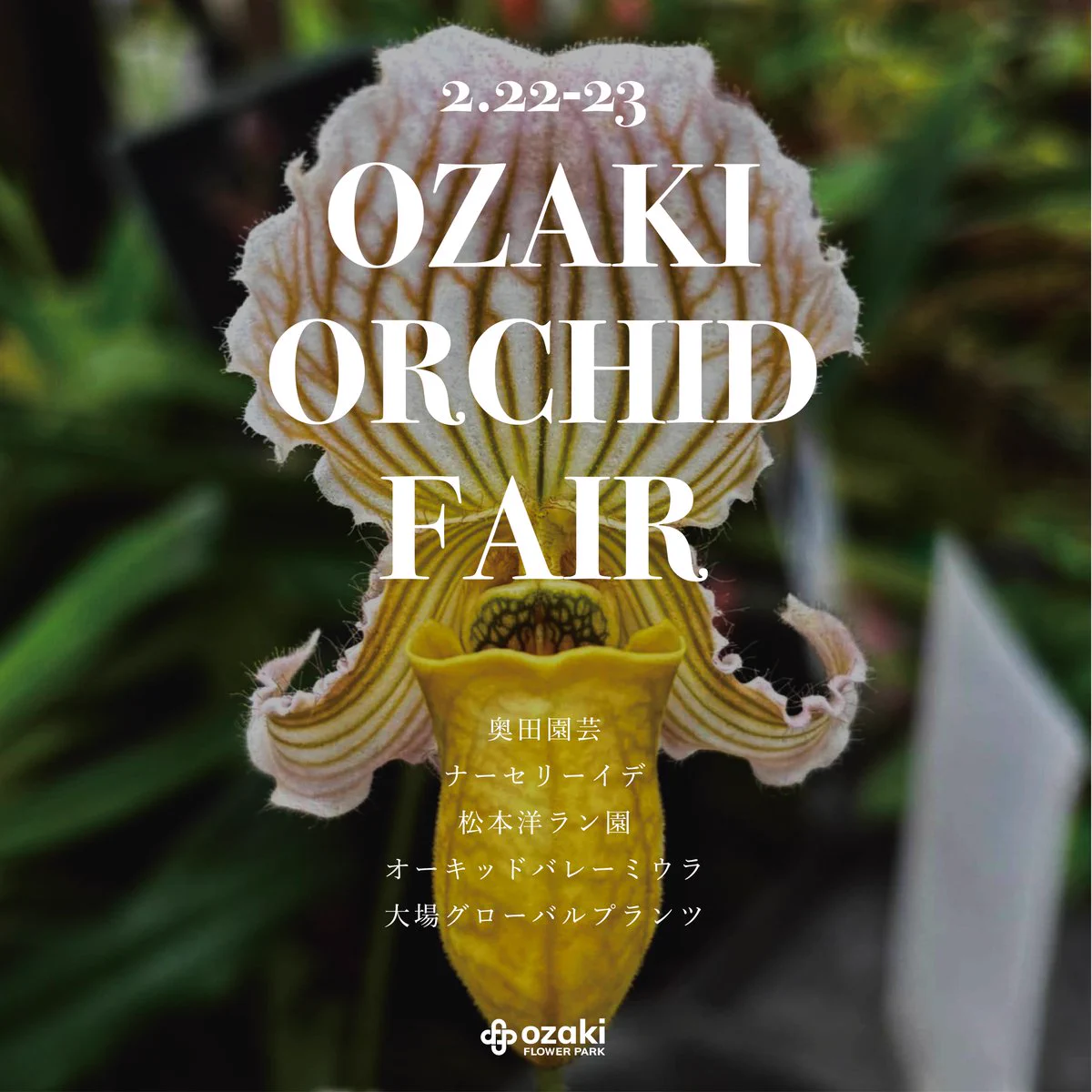 オザキフラワーパーク na platformě X: „【OZAKI ORCHID FAIR