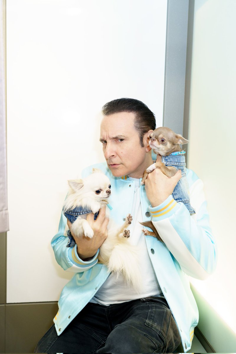 ChrisBOXevents's tweet photo. @DALS_TF1 ✨️ça commence ce soir avec @JMGenereux &amp; Clafouti et Cupcake #chihuahua et ça,  j'achète 🕺💃 photo 📷 @bertexertier #olalachihuahua 🐶 @chihuahuas_in_paris https://t.co/8LhakQs8wC
