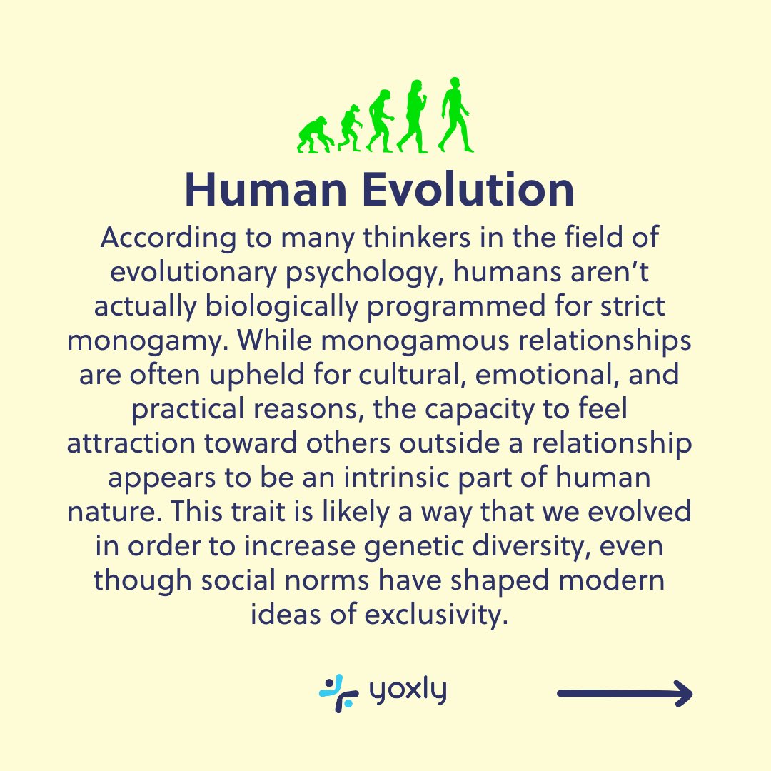 Yoxly tweet media