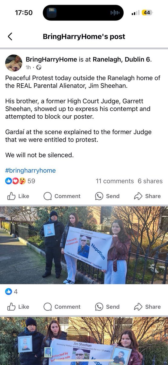 survivorsinform's tweet photo. SiSi would like to express support and solidarity with all victims of #JimSheehan and the #ParentalAlienation industry in Ireland. We commend the bravery of mothers struggling to have their children returned to their care after #pseudoscientific findings are made. ✊💜 https://t.co/LOhBn74Xqz