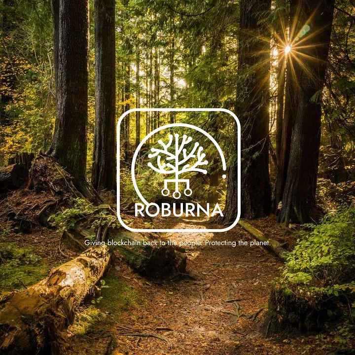 Roburnaofficial's tweet photo. Roburna Forest — Sanctuary of Nature https://t.co/FEwla1bV7O