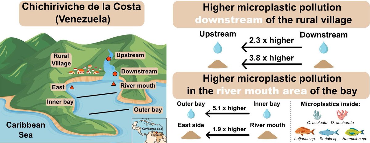 JF_Grillo_Bio's tweet photo. New #microplastics paper!
We found that a small village in #LatinAmerica (#Venezuela ) is associated with 1197.3 times more MP than urban centers in Latin America😵
Link: https://t.co/rBwB1uMaeh
Thanks to the PADI Foundation for its support! https://t.co/TQOjjHCx3H