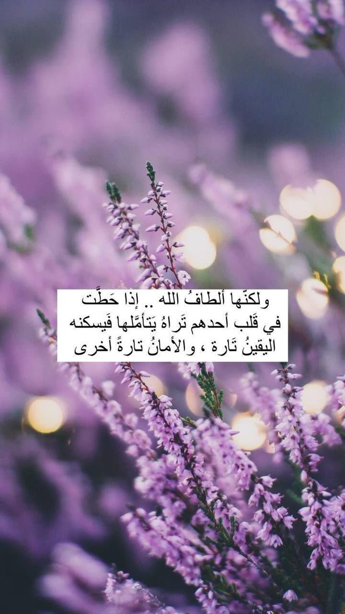 lavender_plain's tweet photo. #جمعة_مباركة https://t.co/GLZ0jXIYqD