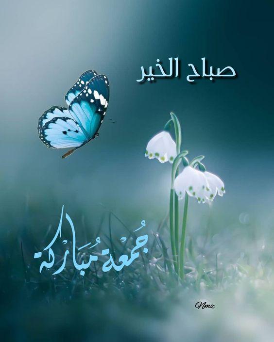 ما. خلقنا لنيأس ...
خلقنا.. 
لنقف على شرفةالحياة..
 ولنخوضها مطمئنين واثقين بالله ...
وإن طال وقوفنا ،..
 فالأمل مازال موجود ..

صباح الأمل والثقة بالله
🌸🤍🌸