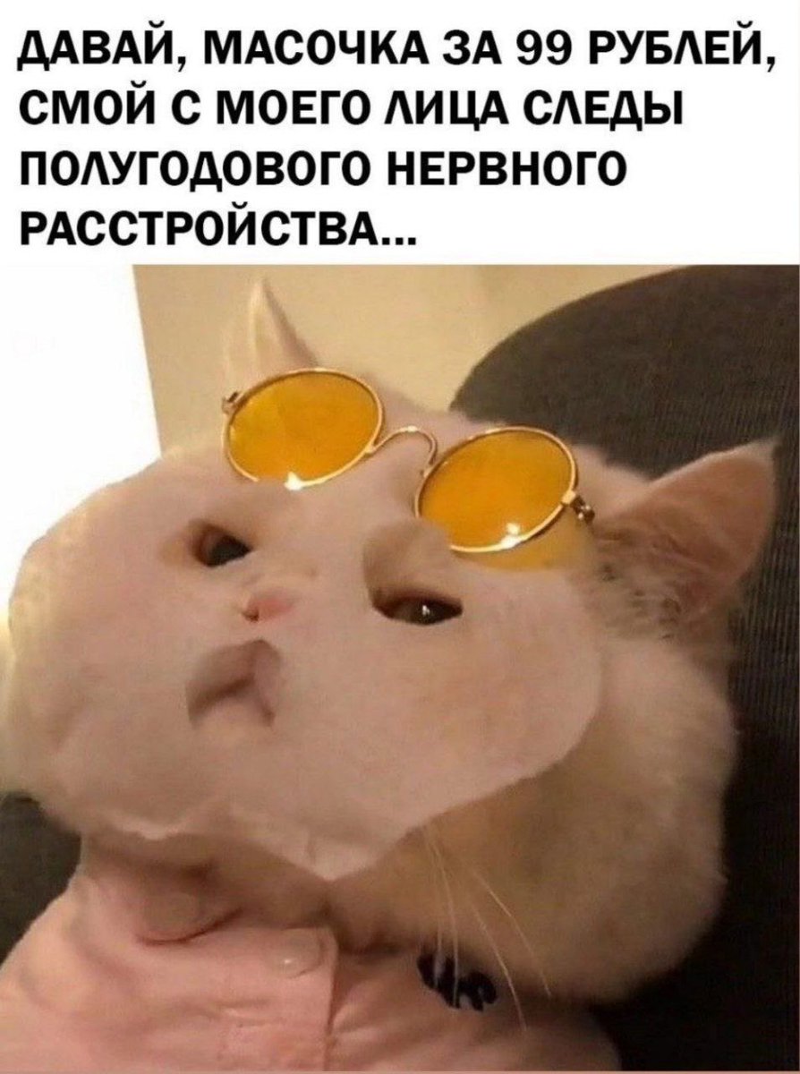 бриллиантовый пони (@dd_unic) on Twitter photo 