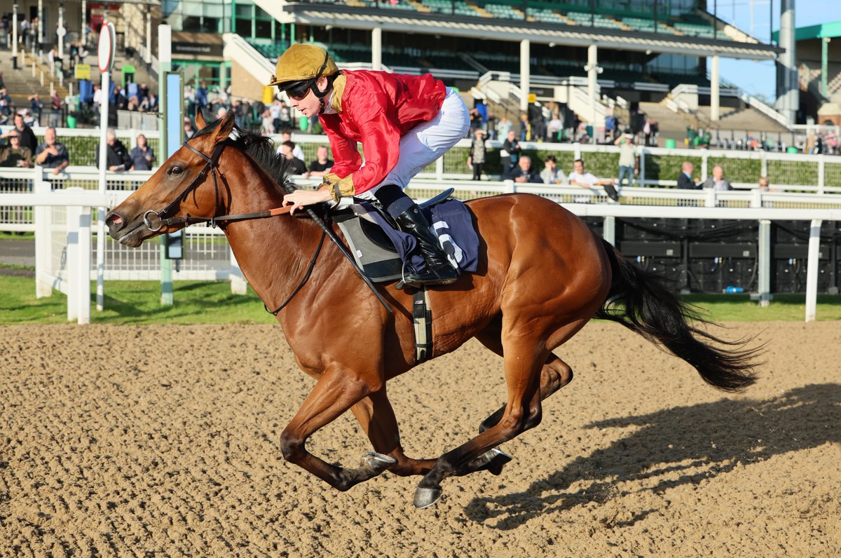 Weekender (@rpweekender) on Twitter photo "All being well he’ll get to Royal Ascot for the King Charles III Stakes."
Great to have a big interview with <a href="/GScottracing/">George Scott</a> in the <a href="/RPWeekender/">Weekender</a> courtesy of <a href="/Georgia_cox_/">Georgia Cox</a> - make sure you read it there's some good stuff in there! "All being well he’ll get to Royal Ascot for the King Charles III Stakes."
Great to have a big interview with <a href="/GScottracing/">George Scott</a> in the <a href="/RPWeekender/">Weekender</a> courtesy of <a href="/Georgia_cox_/">Georgia Cox</a> - make sure you read it there's some good stuff in there!