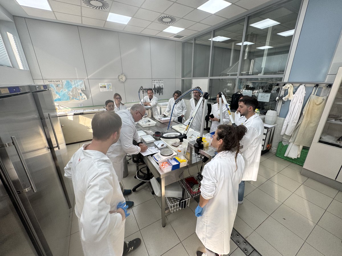 IEO_Santander's tweet photo. Científicos del @IEOoceanografia @inseaitrust & @mjjuanjorda participan en el 1er TALLER TEMÁTICO DE ECOLOGÍA TRÓFICA DE TÚNIDOS TROPICALES DEL PROYECTO #ITUNNES (financiado por @cinea_eu) en @AZTI_brta, junto al experto en ecología trofica Evgeny Romanov #CITEB y resto de socios https://t.co/Kx6KGB69ON