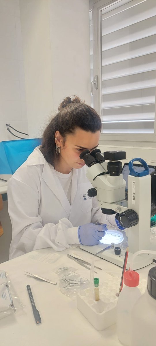 Sofía Soares, investigadora predoc de Javier <a href="/millan_wildvet/">Javier Millán (@syngamus.bsky.social)</a>, ARAID en <a href="/IA2_UZ_CITA/">IA2</a>, participa en la mesa "Sembrando vocaciones: mujeres, la #ciencia os necesita" Bajo el lema "Tómate un café con nuestras investigadoras" ✖️el #11F👩🏻‍🔬☕

📆12.02 /16 h
🌏Aula Grados <a href="/FVeterinariaUZ/">FacVeterinariaUNIZAR</a>