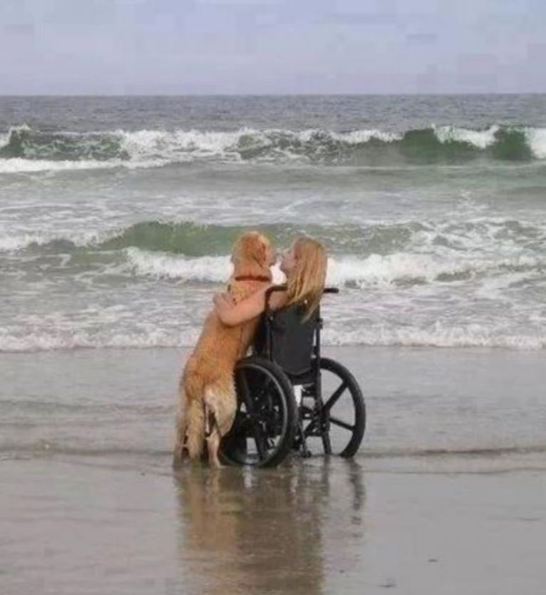 TweeetsOfDogs's tweet image. One word for this photo😍🥰