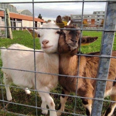 manifest seysi

#YeniProfilResmi