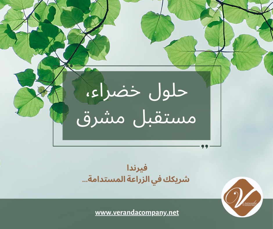 VerandaCompany's tweet photo. فيرندا تُحدث ثورة في عالم الزراعة من خلال حلول خضراء مبتكرة مثل الهيدروبونيك والأكوابونيك.

نحن هنا لمساعدة الشركات على تبني أنظمة زراعية مستدامة وفعّالة في استهلاك المياه لتعزيز النمو وحماية البيئة.

انضموا إلينا في هذه الرحلة نحو مستقبل أكثر خضرة.🌍 https://t.co/dlYg7e6mhe