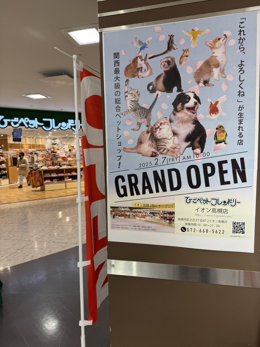 juntsukamoto569's tweet photo. めちゃでかい！

#ペット
#イオン高槻
#ひごペットフレンドリー
#2025-2-7グランドオープン https://t.co/dCqXWh0JYd