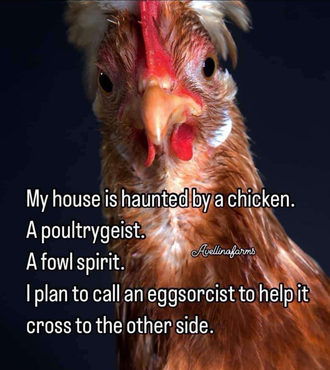 Spirit Seekers (@ispiritseekersi) on Twitter photo 