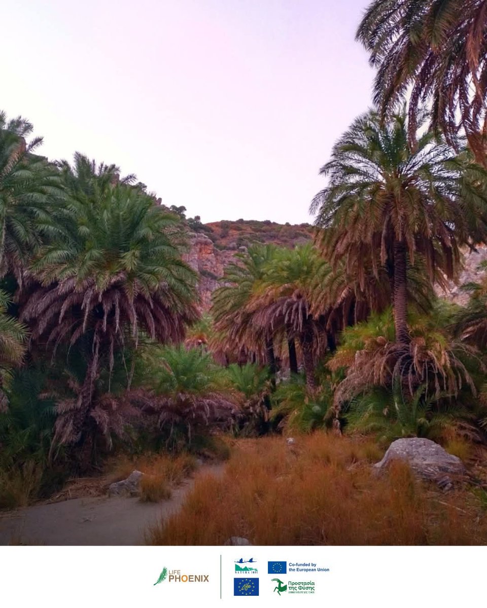 ΕΕΠΦ - HSPN tweet media