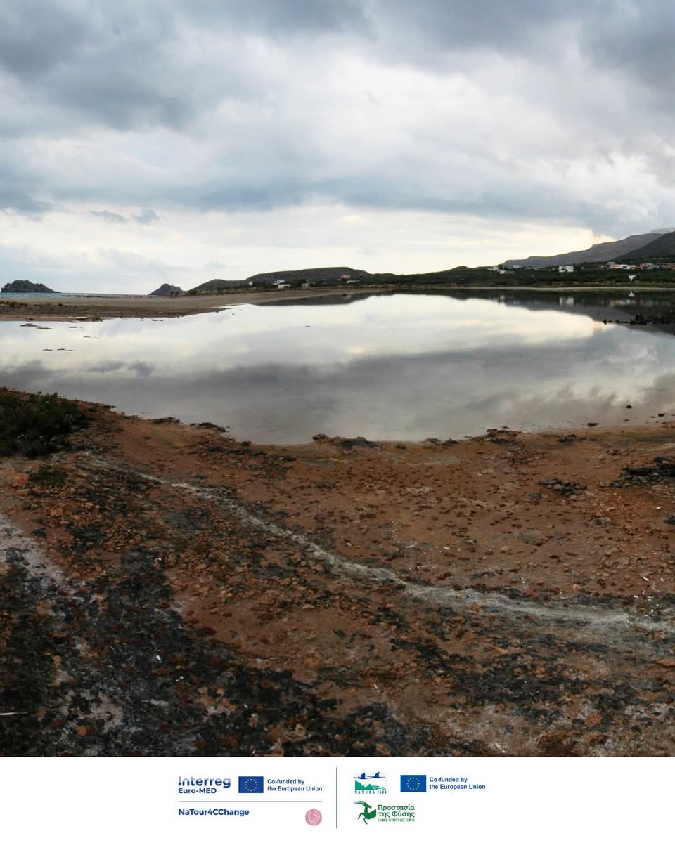 ΕΕΠΦ - HSPN tweet media