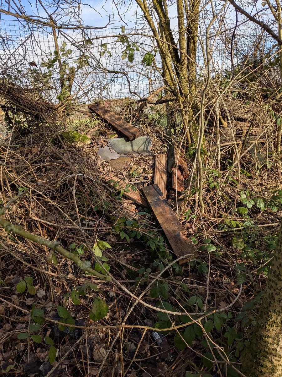 Keep Bury Clean 🌳 tweet media